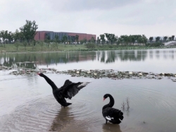 江苏第二师范学院出国留学学费